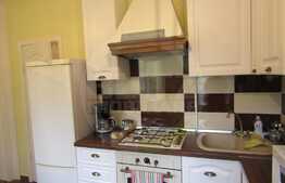 Casa insiruita, 41,7 mp, teren 60 mp, front 9 ml, zona Piata Cipariu