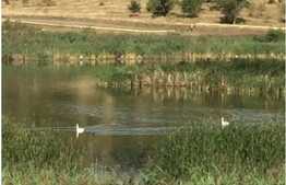 PARCELE DE TEREN pentu CASA de la 750-2800 mp, utilitati, 15 minute de Cluj