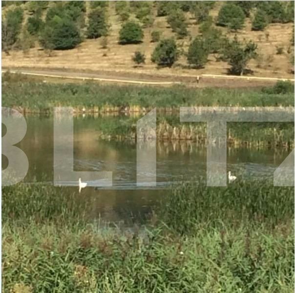 Teren de vânzare Exterior Sud - 29410TV | BLITZ Cluj-Napoca | Poza4