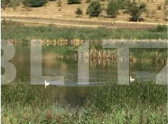 Teren de vânzare Exterior Sud - 29412TV | BLITZ Cluj-Napoca | Poza5