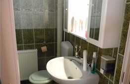 Vanzare casa alipita, 100 mp utili, 325 mp teren, zona linistita