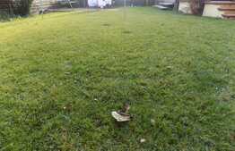 Casa individuala de vanzare, 180 mp, 330 mp terent aferent, zona Terra