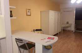 Apartament 2 camere de 54 mp, imobil nou, Complex Platinia, zona USAMV