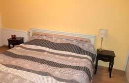 Apartament 2 camere de 54 mp, imobil nou, Complex Platinia, zona USAMV