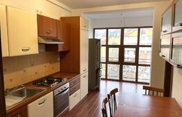 Apartament  4 camere, 130 mp, garaj, terasa 25 mp, boxa, zona Hotel Napoca