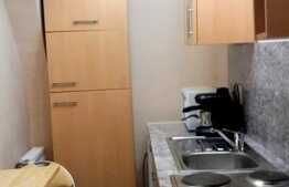 Garsoniera, mobilata modern, zona USAMV