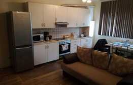 Apartament 2 camere, 50 mp, terasa de 24 mp, parcare, Pet Friendly  zona VIVO!