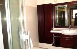 3 camere de lux, 100 mp, terasa de 50 mp, zona USAMV