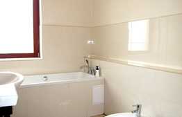 3 camere de lux, 100 mp, terasa de 50 mp, zona USAMV