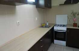 Apartament 2 camere, 40 mp, mobilat, zona Expo Transilvania