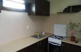 Apartament 2 camere, 40 mp, mobilat, zona Expo Transilvania
