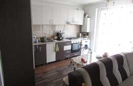 Vanzare apartament cu 3 camere, 64 mp, Zona strazii Porii!