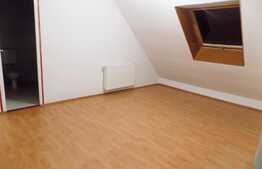 Apartament cu 2 camere, 57 mp, pret exceptional! Zona strazii Porii!