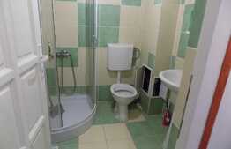 Apartament cu 2 camere, 57 mp, pret exceptional! Zona strazii Porii!