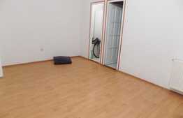 Apartament cu 2 camere, 57 mp, pret exceptional! Zona strazii Porii!