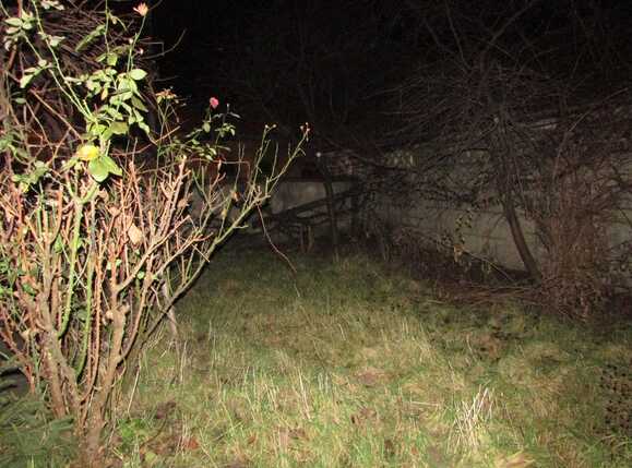 Casa de vânzare 2 camere Central - 29515CV | BLITZ Cluj-Napoca | Poza8