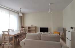Apartament 2 camere, 60 mp, zona Parcului Central