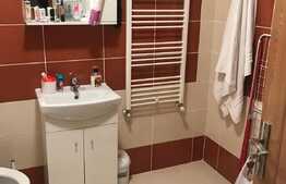 Apartament 3 camere, 62 mp, zona Panemar