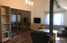 Apartament 3 camere, 136 mp, parcare, zona strazii Negoiu