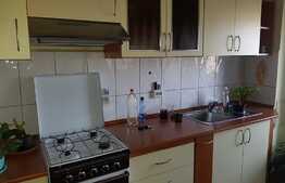 Apartament cu 3 camere, 2 balcoane, garaj individual, zona Kaufland Marasti
