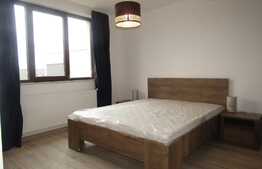 Apartament 3 camere, 74 mp, terasa 35 mp, zona strazii Eugen Ionesco