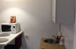 Garsoniera 21 mp, mobilata, zona FSEGA