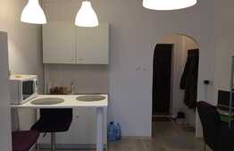 Garsoniera 21 mp, mobilata, zona FSEGA