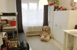 Garsoniera 21 mp, mobilata, zona FSEGA