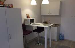 Garsoniera 21 mp, mobilata, zona FSEGA