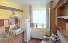 Garsoniera 11 mp, zona Intervisan