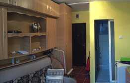 Garsoniera 11 mp, zona Intervisan