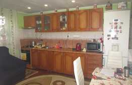 Casa individuala, 85 mp, teren 245 mp, 2 fronturi, Someseni