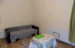  Garsoniera de inchiriat, 30 mp, parcare, prima inchiriere, zona Iulius Mall