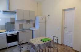  Garsoniera de inchiriat, 30 mp, parcare, prima inchiriere, zona Iulius Mall