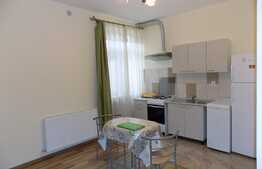  Garsoniera de inchiriat, 30 mp, parcare, prima inchiriere, zona Iulius Mall