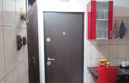 De vanzare garsoniera, 21 mp, etaj intermediar, zona strazii Campina