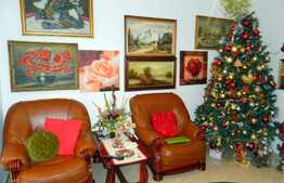 2 camere, 70 mp, imobil de tip casa, garaj, zona Garii