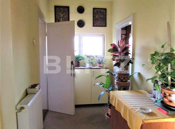 Casa de vânzare 10 camere Dambul Rotund - 29638CV | BLITZ Cluj-Napoca | Poza11