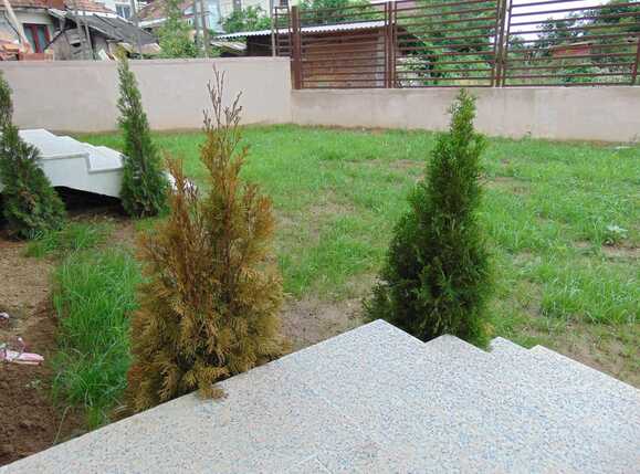 Casa de vânzare 4 camere Zorilor - 29641CV | BLITZ Cluj-Napoca | Poza14