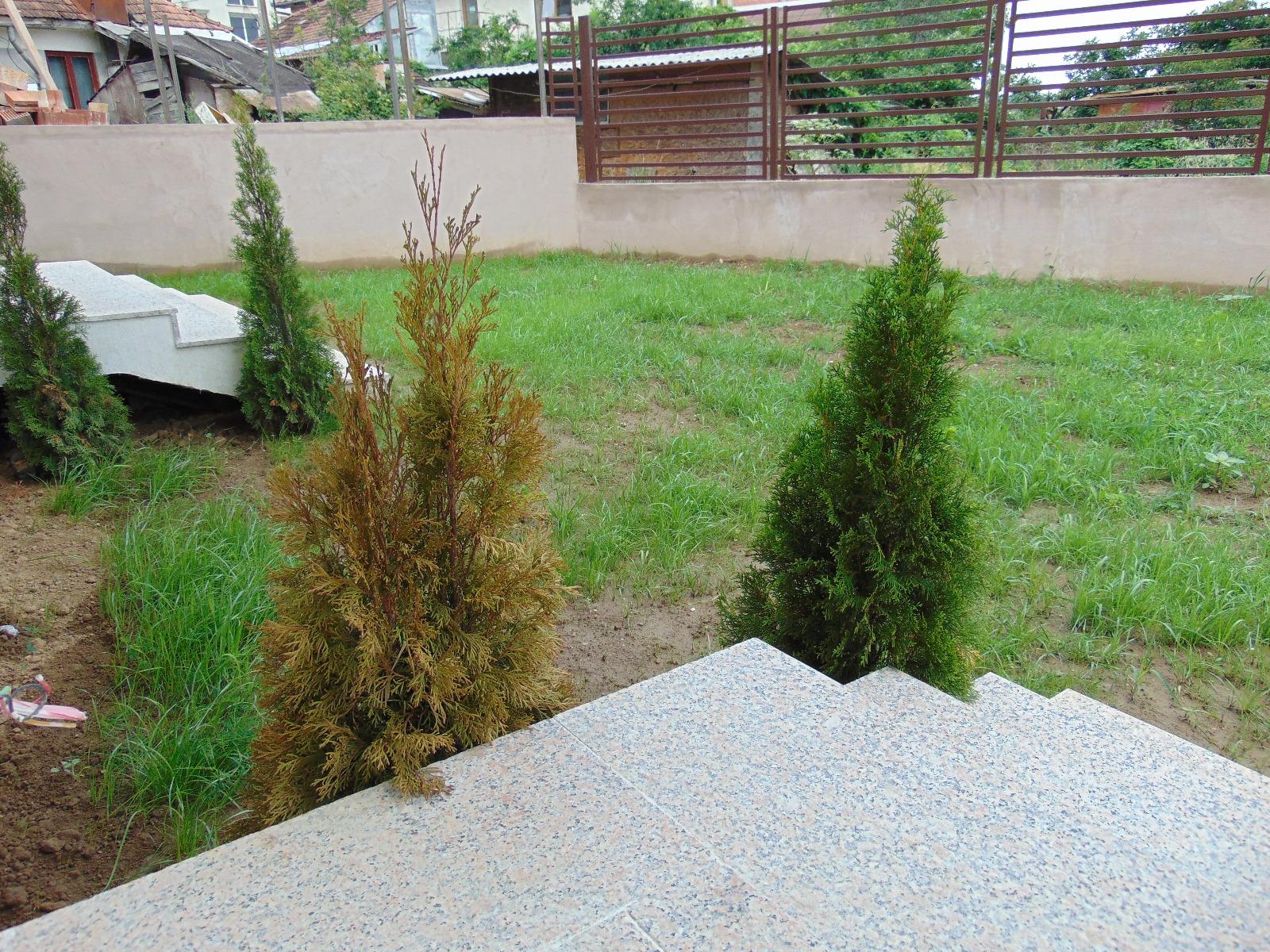 Casa de vânzare 4 camere Zorilor - 29641CV | BLITZ Cluj-Napoca | Poza14