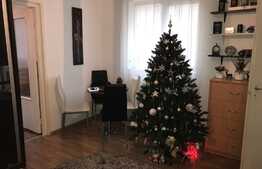 Apartament 2 camere, 28 mp, etaj intermediar, zona strazii Alverna