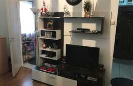 Apartament 2 camere, 28 mp, etaj intermediar, zona strazii Alverna