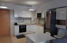 Apartament 2 camere, 47 mp, prima inchiriere, parcare, zona Complex Viva City