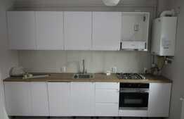 Apartament modern, 2 camere, gradina 50 mp, prima inchiriere, zona strazii Borhanciului