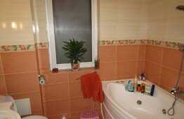 Apartament cu 2 camere, 55 mp, LA CHEIE! Zona strazii Muzeul Apei!