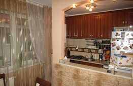 Apartament cu 2 camere, 55 mp, LA CHEIE! Zona strazii Muzeul Apei!