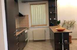 Apartament 3 camere, 107 mp, terasa de 96 mp, parcare, zona strazii Eftimie Murgu