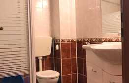 Apartament 3 camere, 107 mp, terasa de 96 mp, parcare, zona strazii Eftimie Murgu