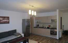 Apartament cu 2 camere, 57 mp, mobilat si utilat! Zona strazii Tineretului!