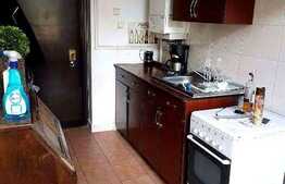 De inchiriat garsoniera, 28 mp, zona Piata Muzeului